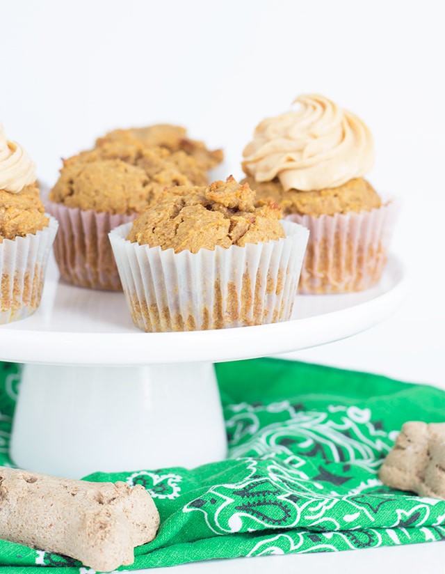 Peanut Butter Pumpkin Pupcakes with Cream Cheese Frosting