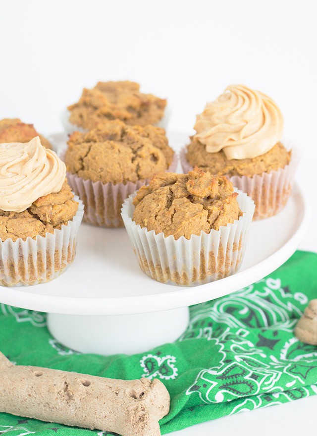 Peanut Butter Pumpkin Pupcakes with Cream Cheese Frosting