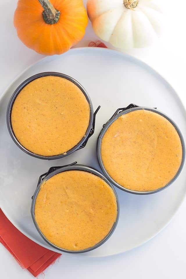 top down image of three creamy Mini Pumpkin Cheesecakes baked in springform pans